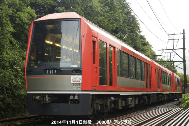 箱根登山鉄道 50周年記念乗車券+バス記念乗車 強羅駅 被う